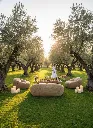 Dolly Gold setting Olive garden.webp